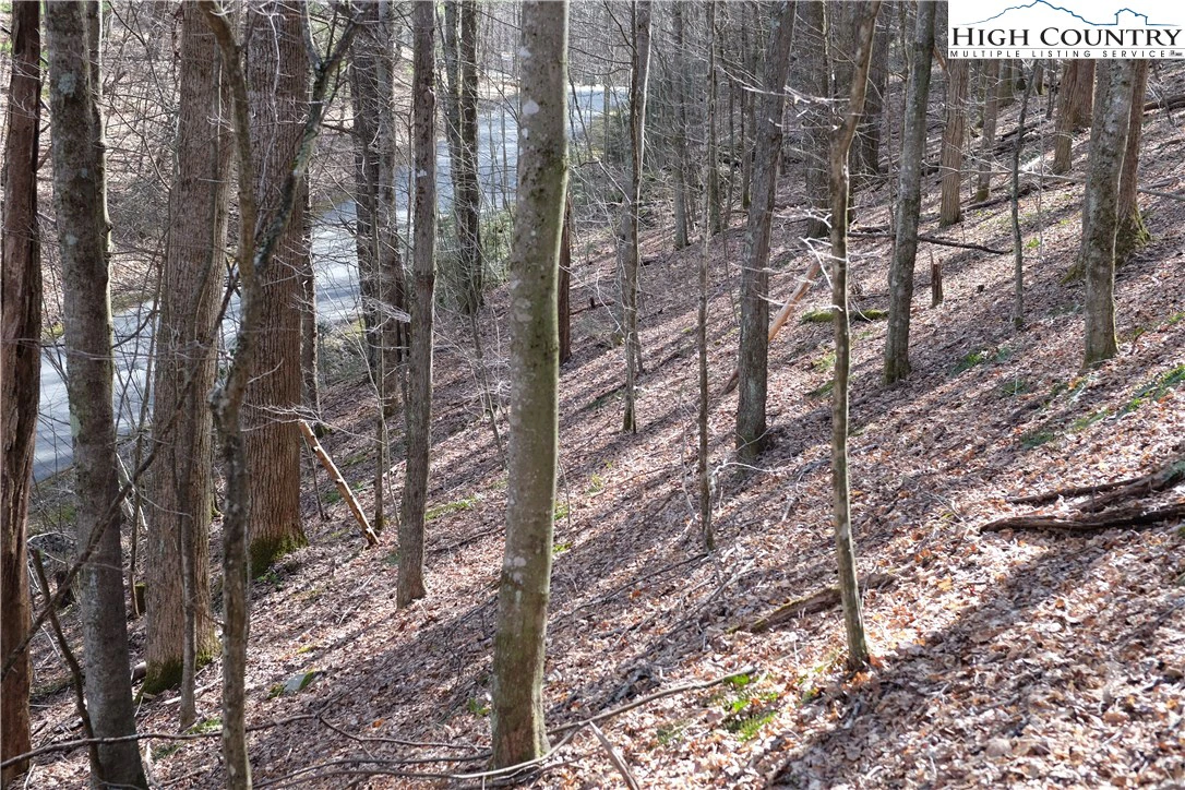 Image number 6 for the current listing