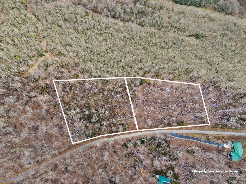 Image number 1 for the current listing