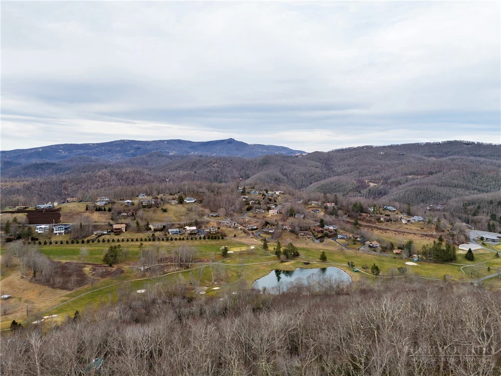 Image number 2 for the current listing