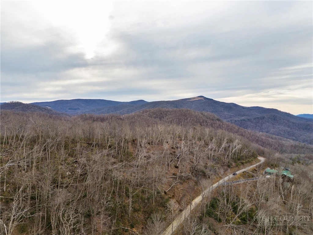 Image number 5 for the current listing
