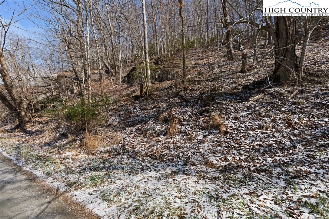 Image number 11 for the current listing