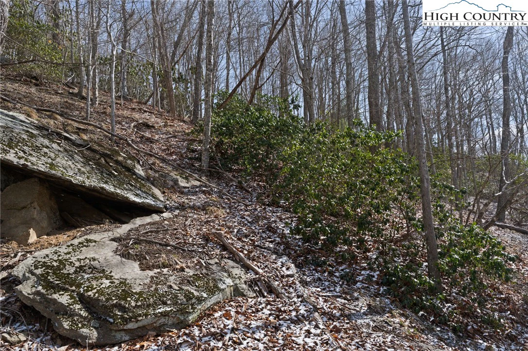 Image number 7 for the current listing