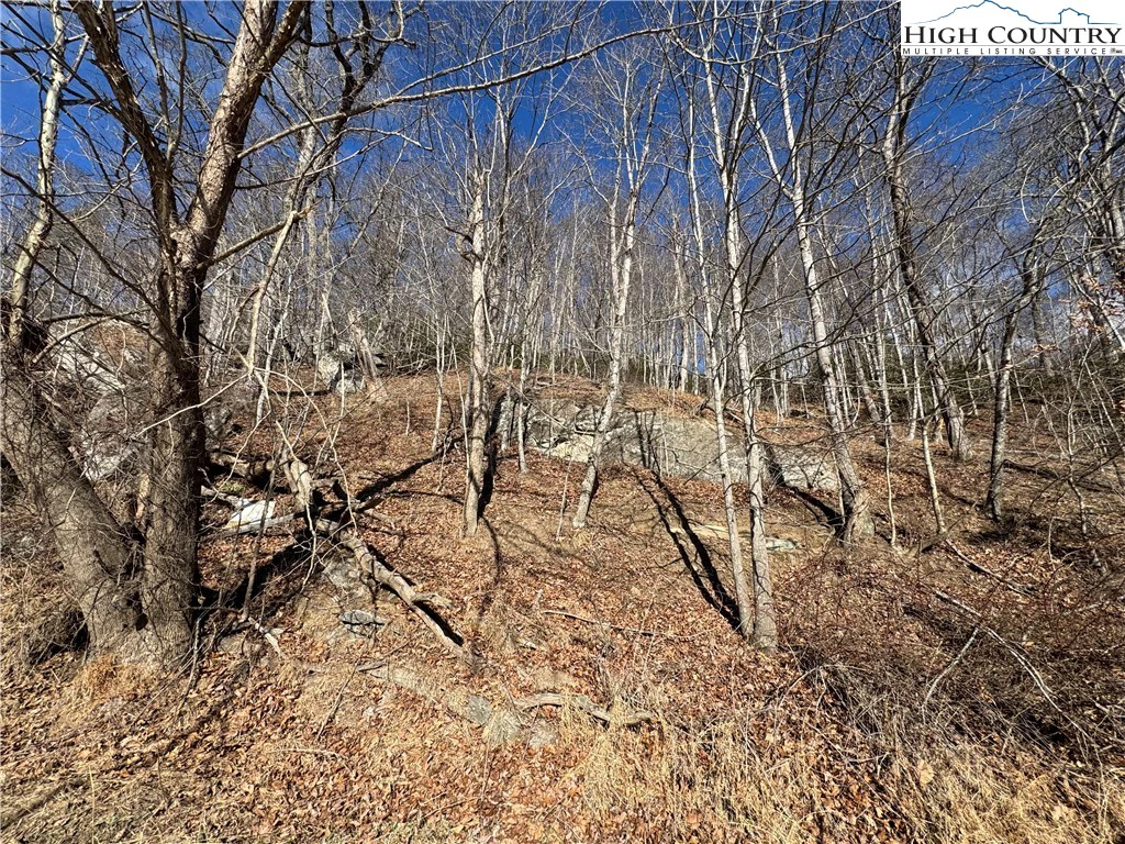 Image number 16 for the current listing