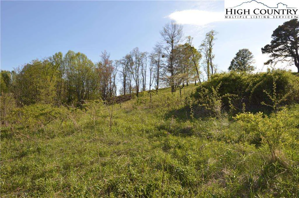 Image number 7 for the current listing