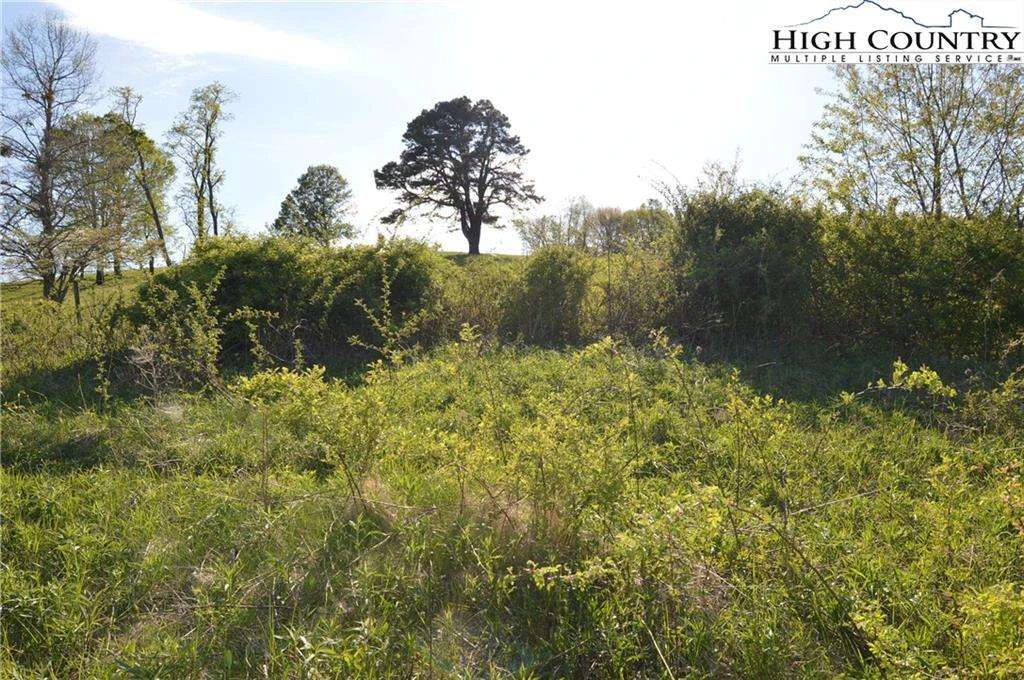 Image number 6 for the current listing