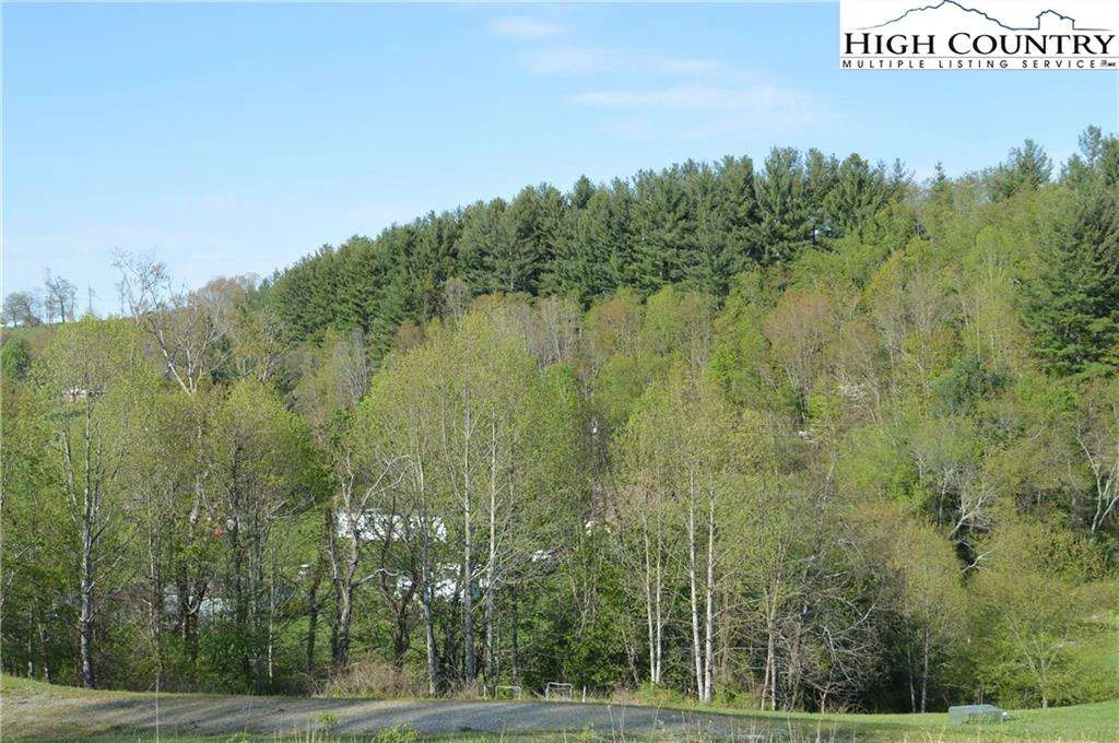 Image number 3 for the current listing
