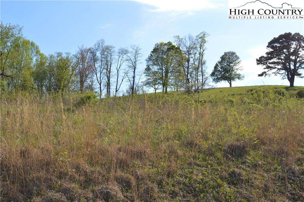 Image number 11 for the current listing