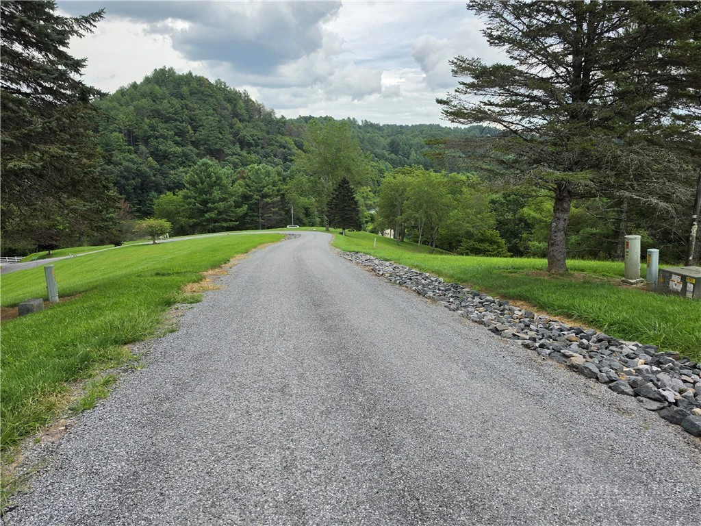 Image number 2 for the current listing