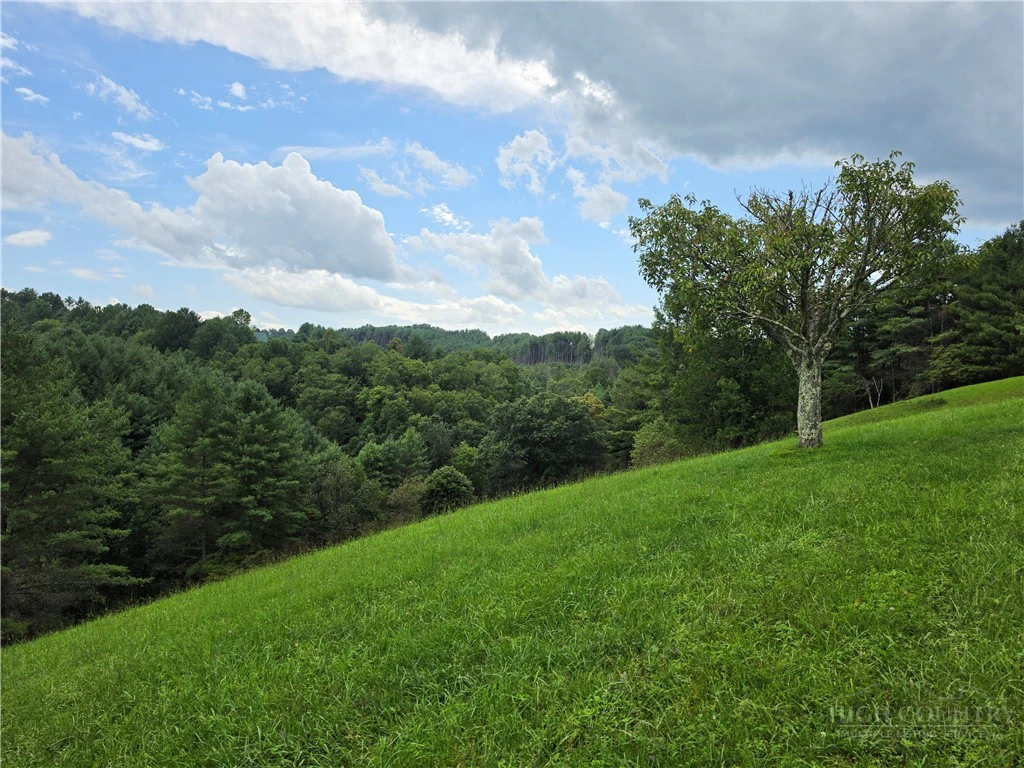 Image number 4 for the current listing