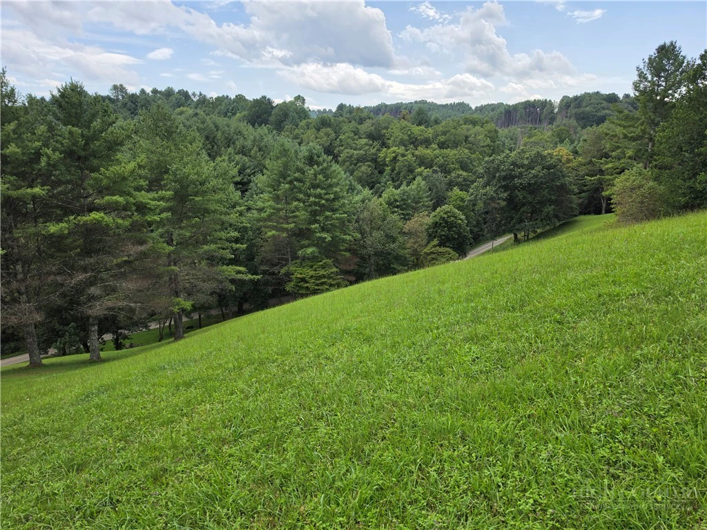 Image number 5 for the current listing