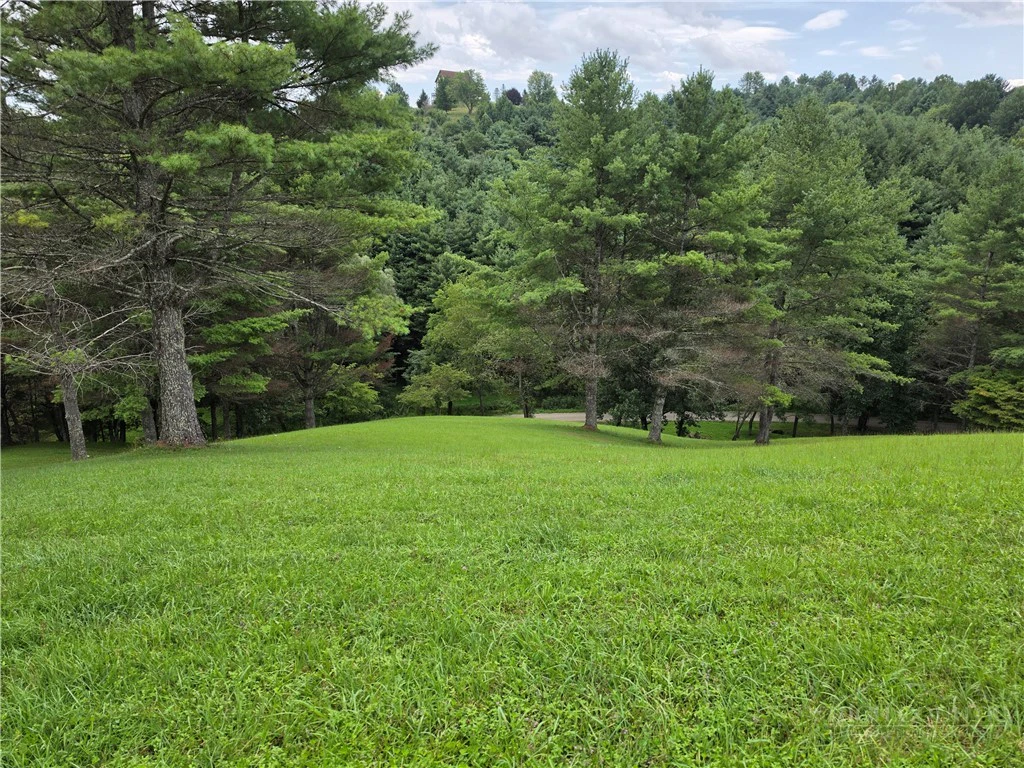 Image number 6 for the current listing