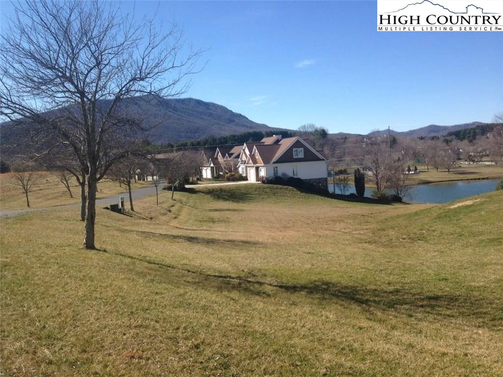 Image number 1 for the current listing