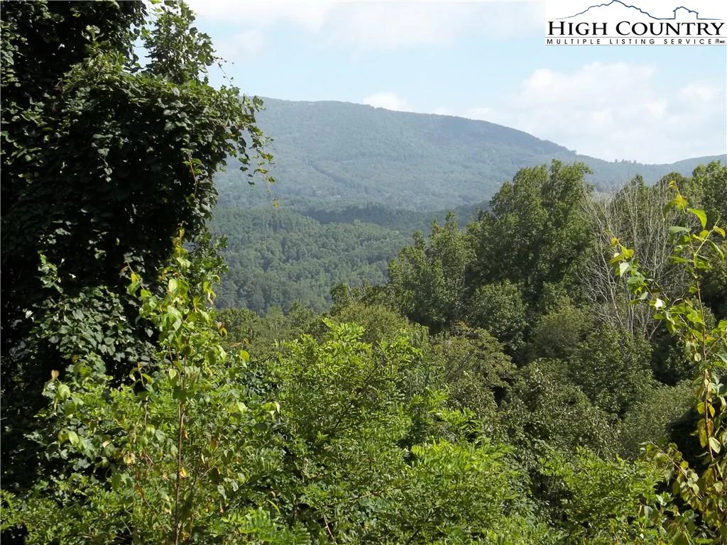 Image number 1 for the current listing