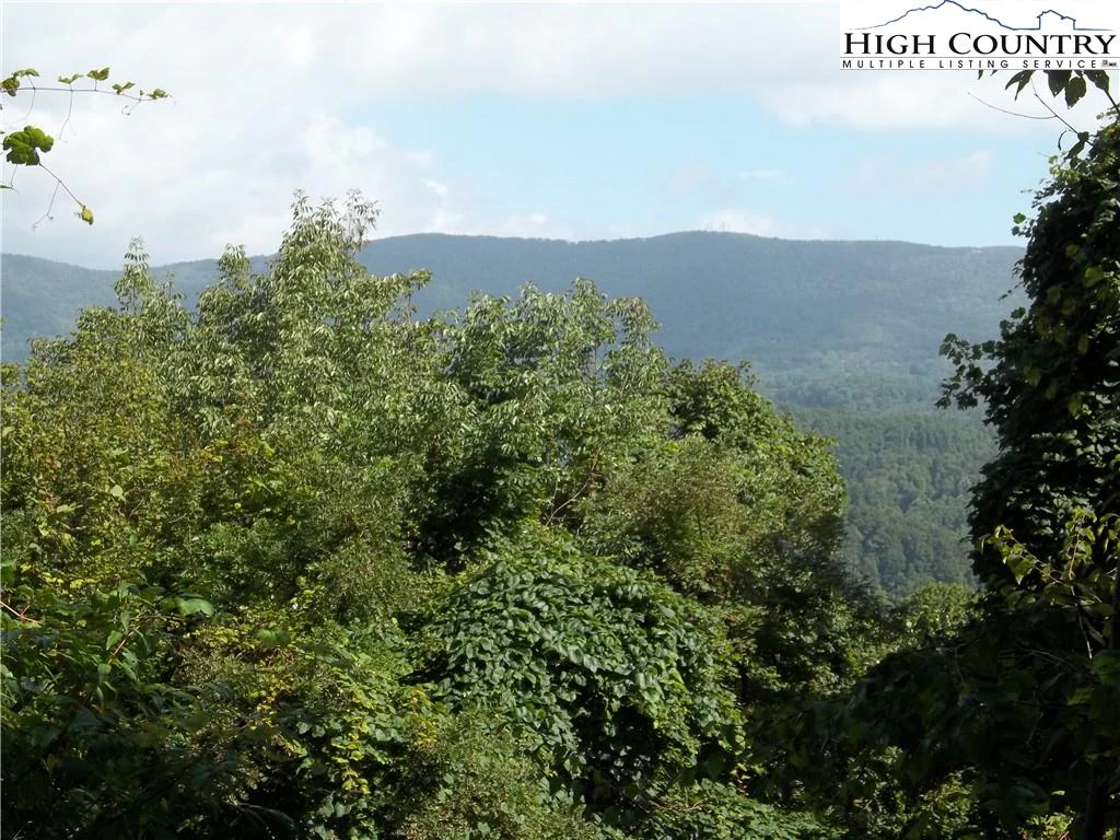 Image number 3 for the current listing