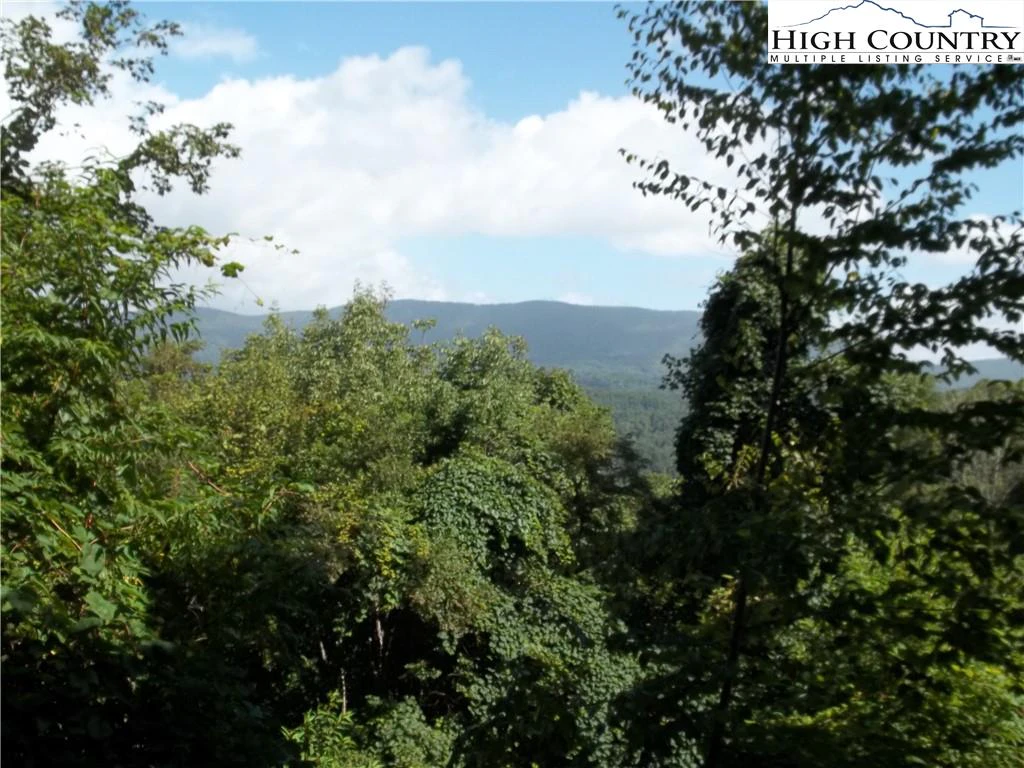 Image number 4 for the current listing
