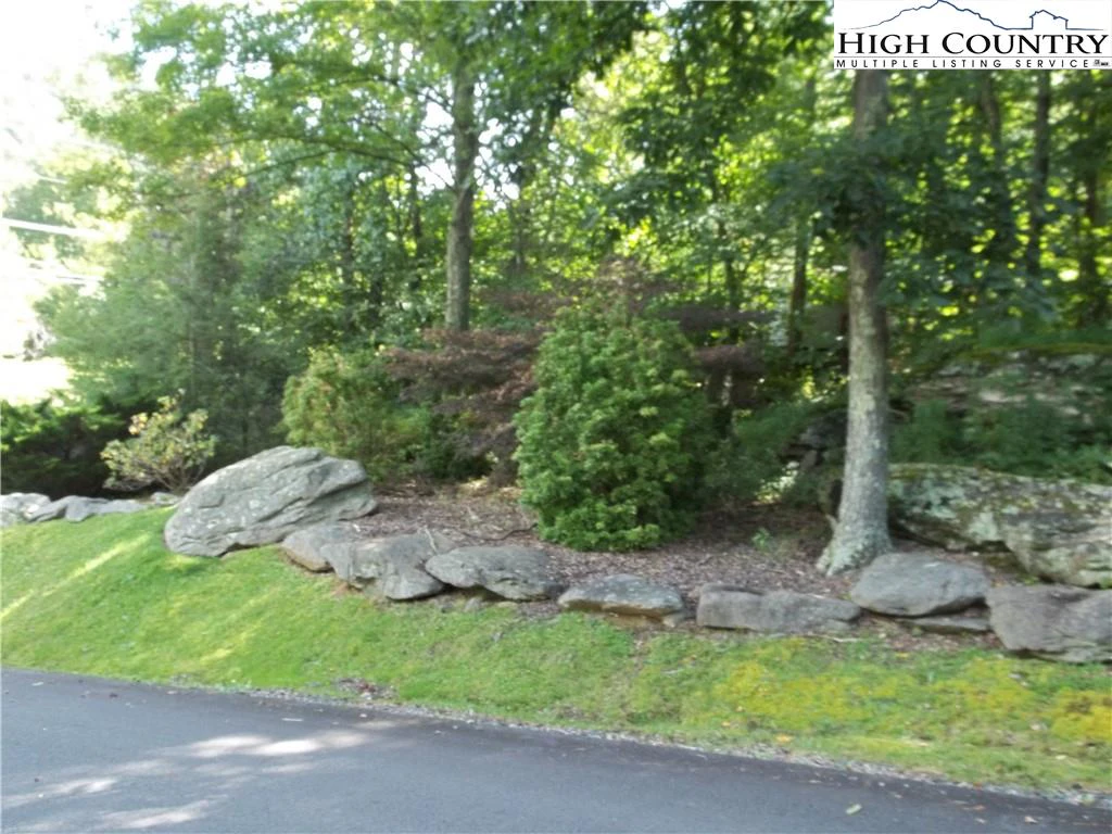 Image number 5 for the current listing