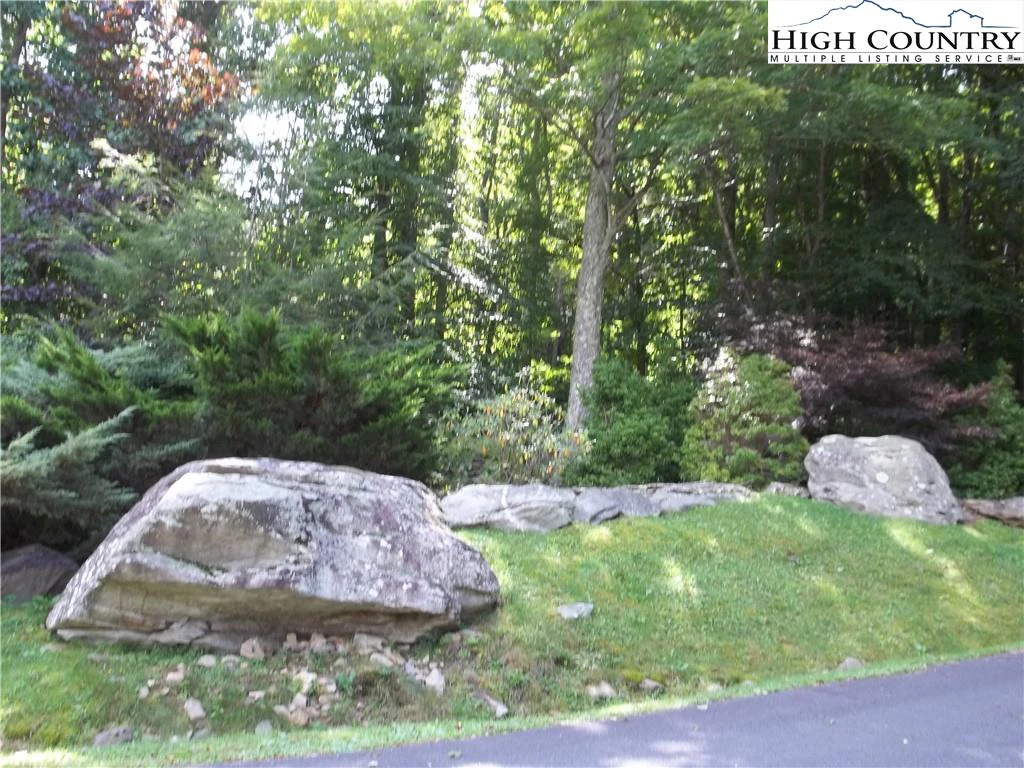 Image number 6 for the current listing