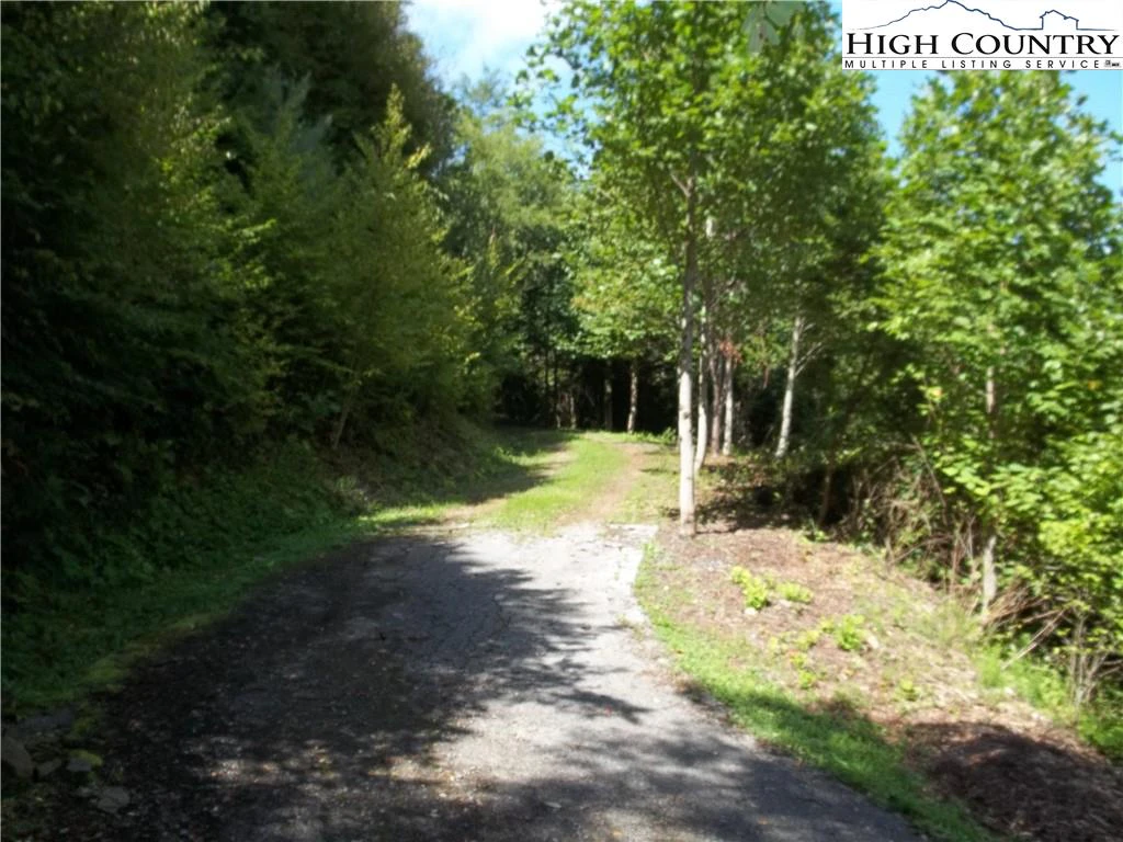 Image number 7 for the current listing