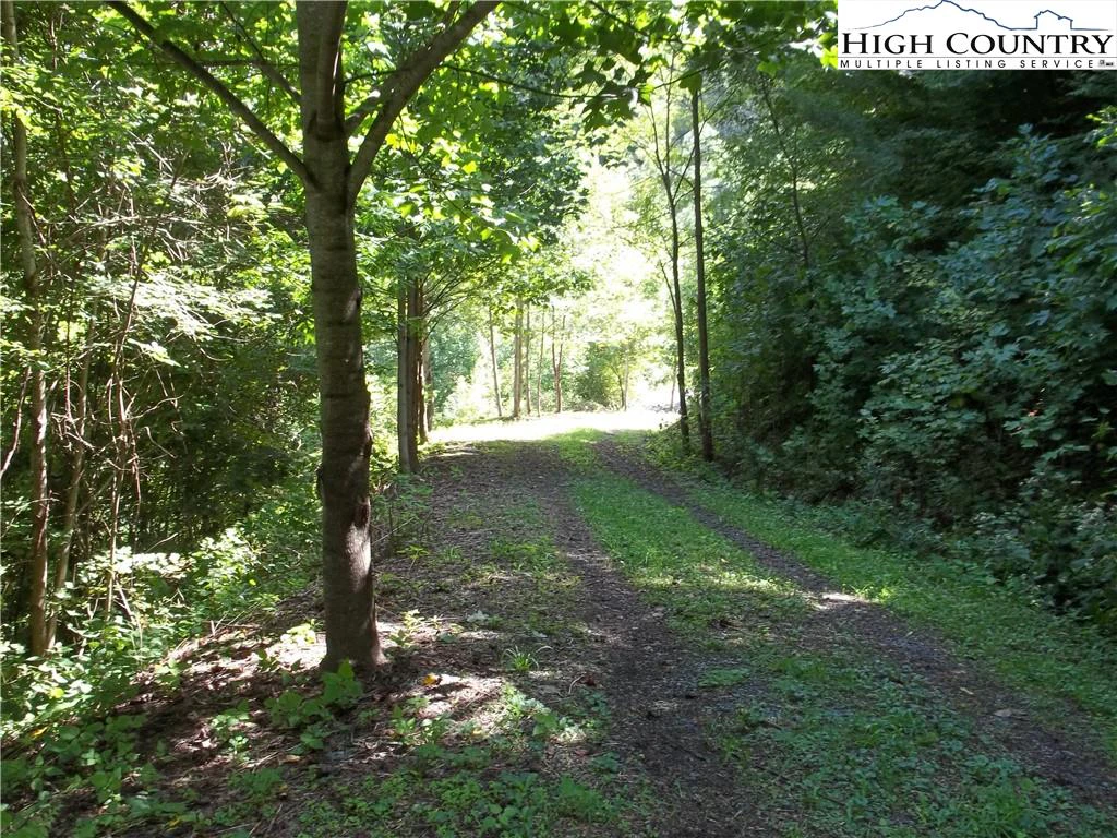 Image number 8 for the current listing