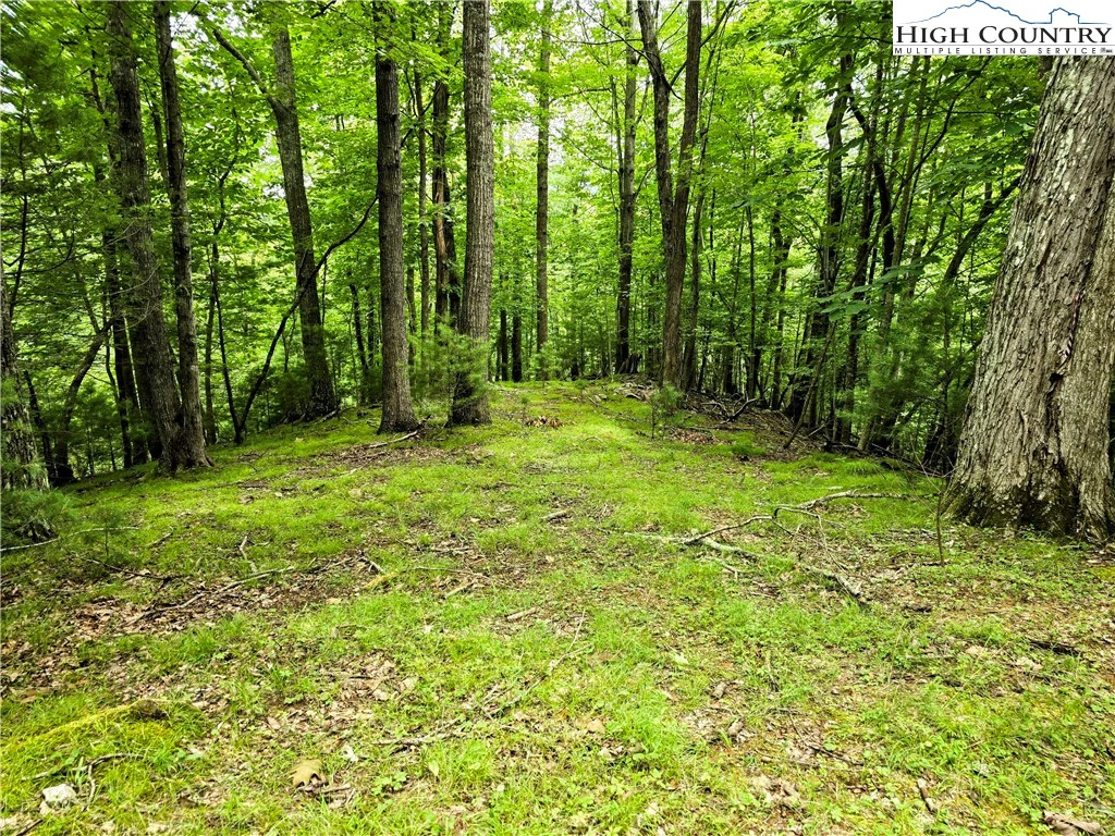 Image number 1 for the current listing