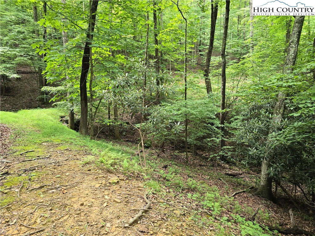 Image number 13 for the current listing