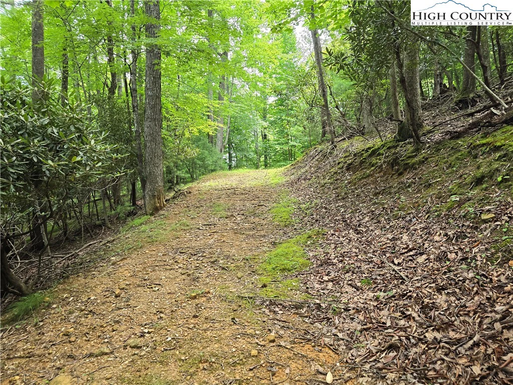 Image number 2 for the current listing