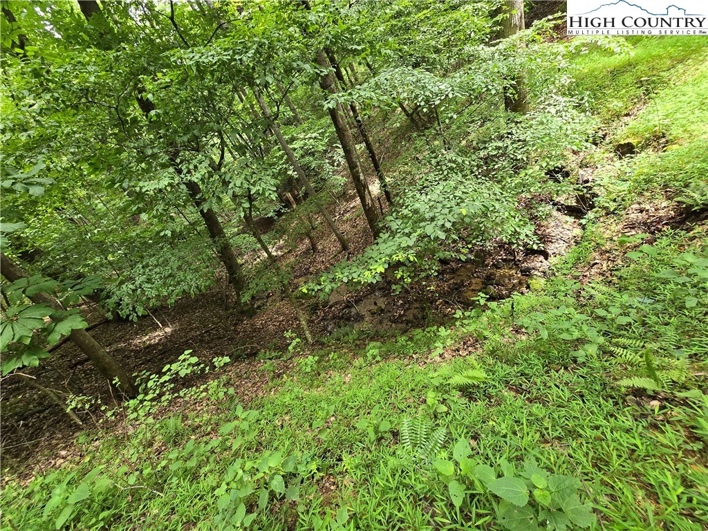 Image number 8 for the current listing