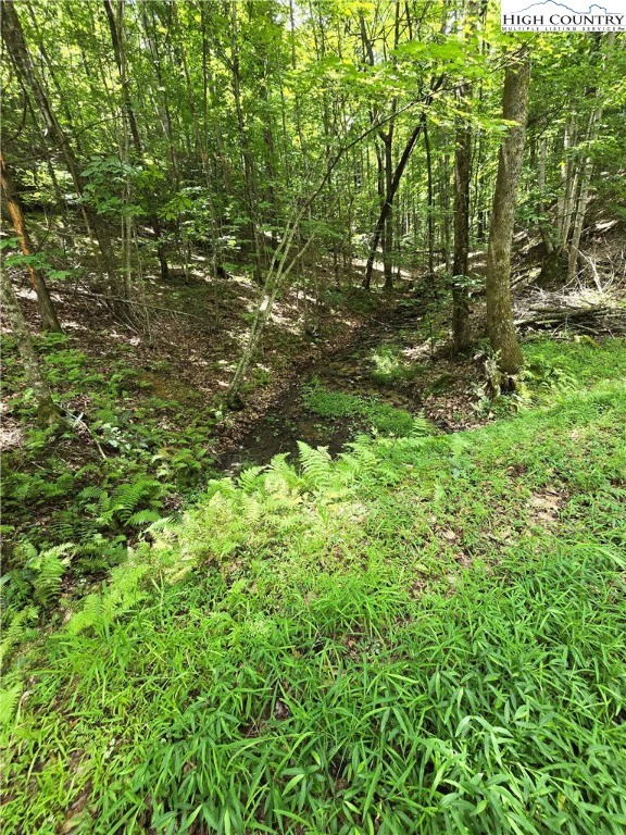 Image number 14 for the current listing