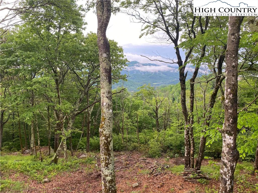 Image number 1 for the current listing