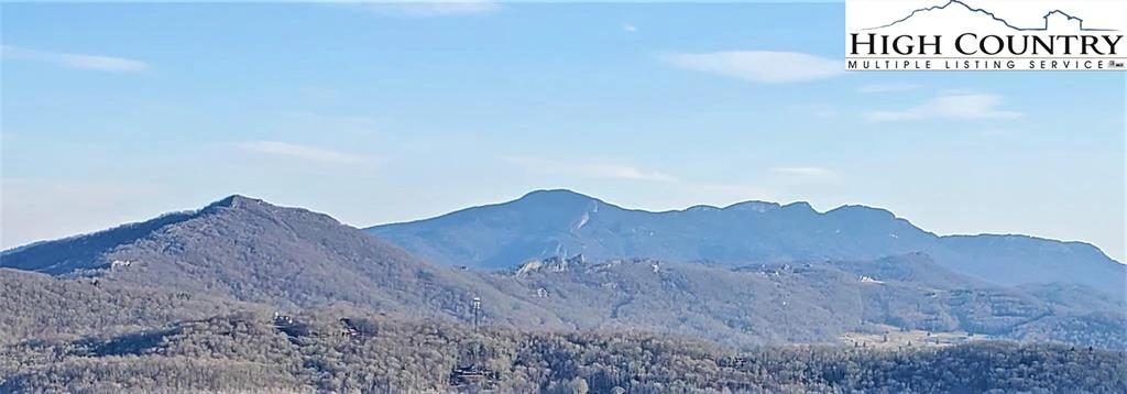 Image number 4 for the current listing