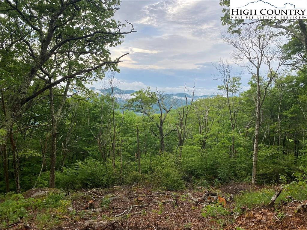Image number 17 for the current listing