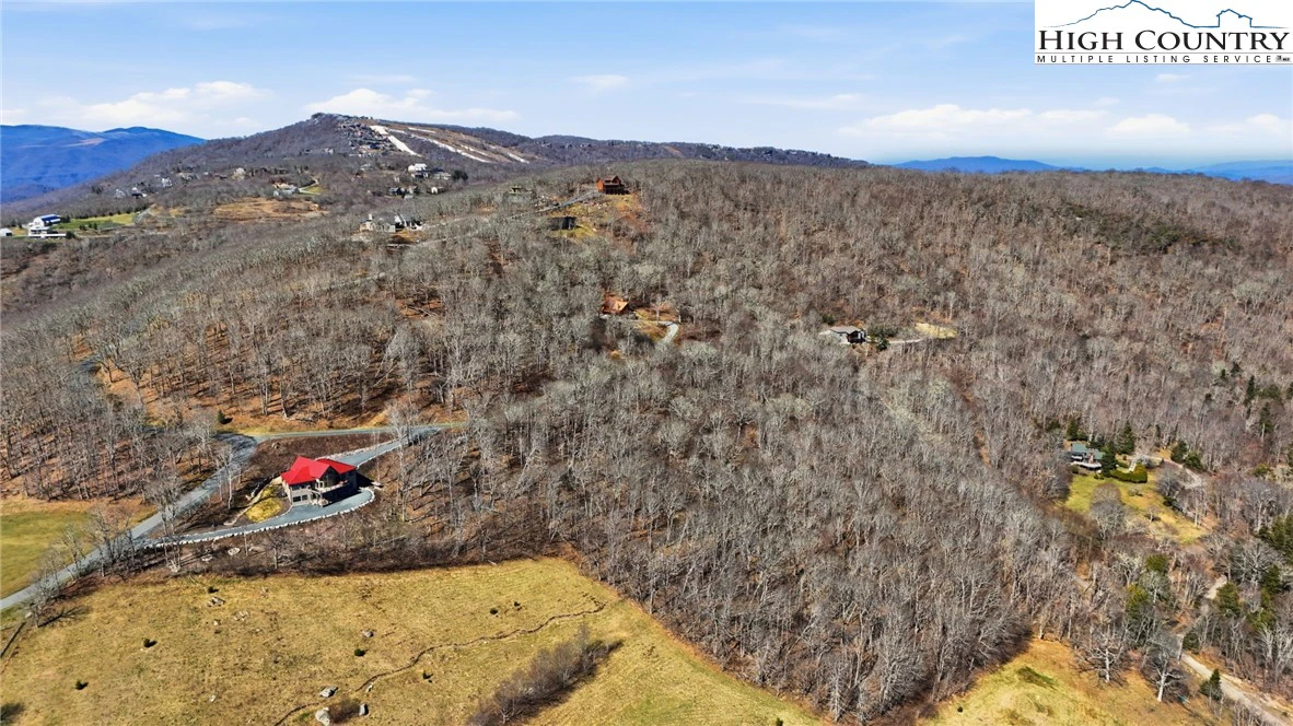 Image number 7 for the current listing