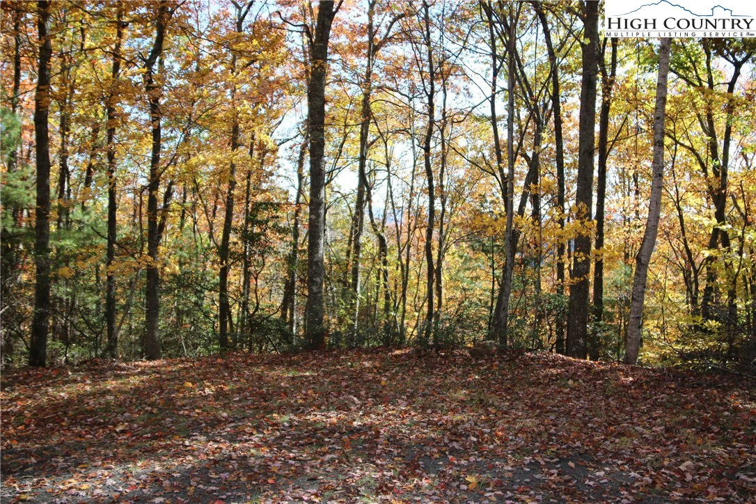 Image number 1 for the current listing