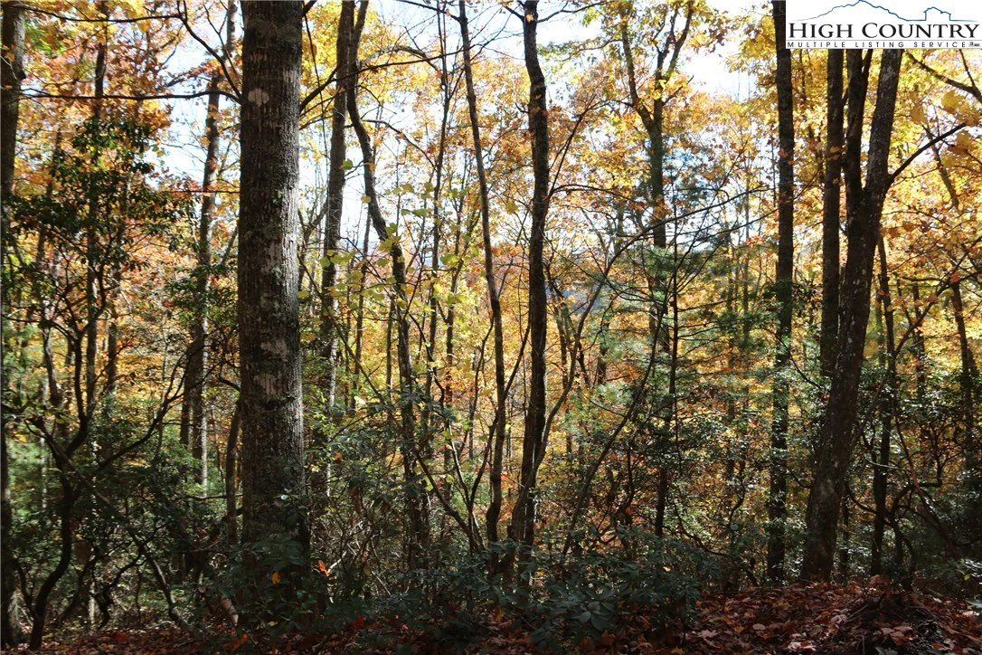 Image number 3 for the current listing