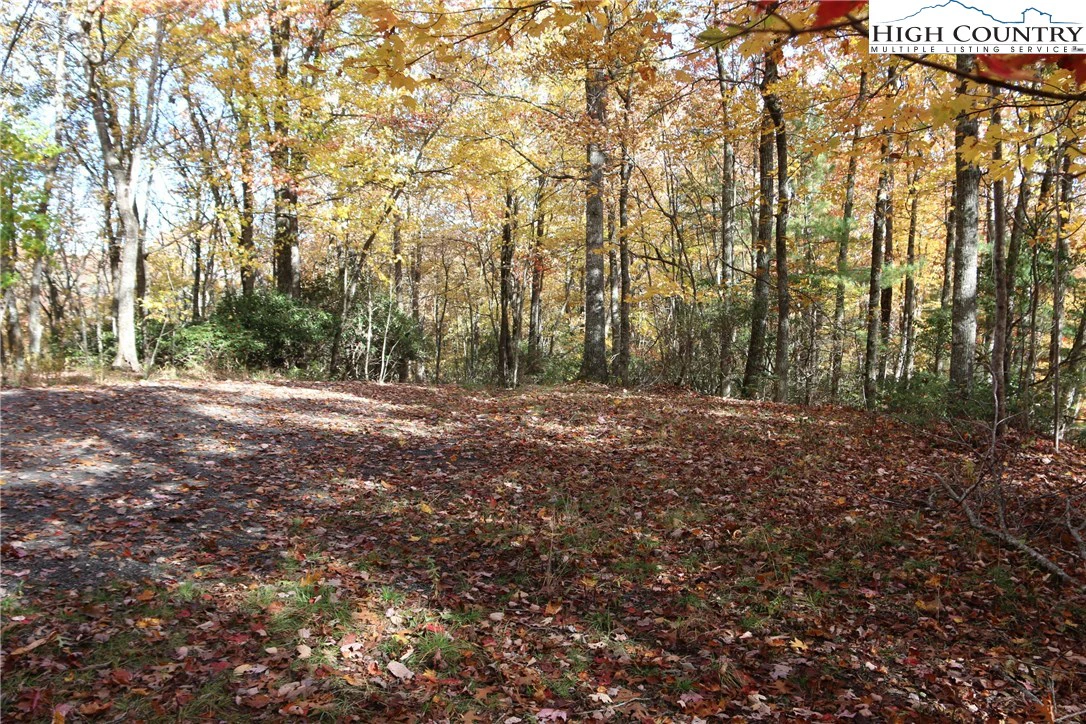 Image number 4 for the current listing