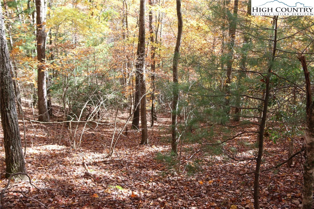 Image number 5 for the current listing