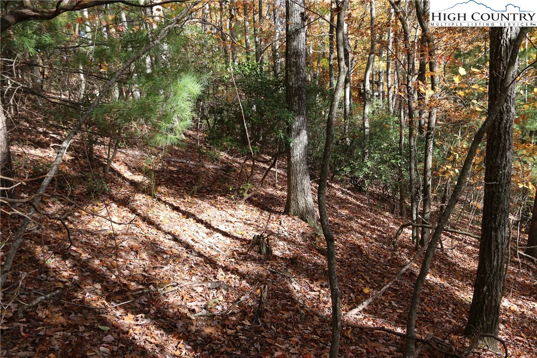 Image number 6 for the current listing