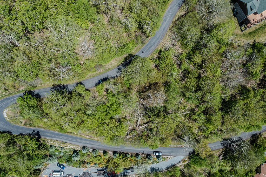 Image number 4 for the current listing