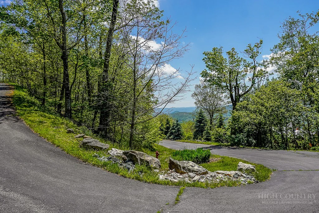 Image number 6 for the current listing