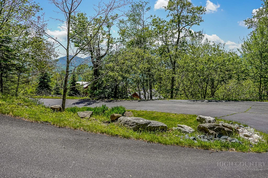 Image number 12 for the current listing