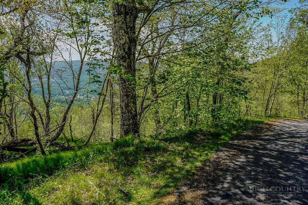 Image number 2 for the current listing