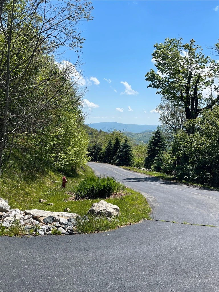Image number 11 for the current listing