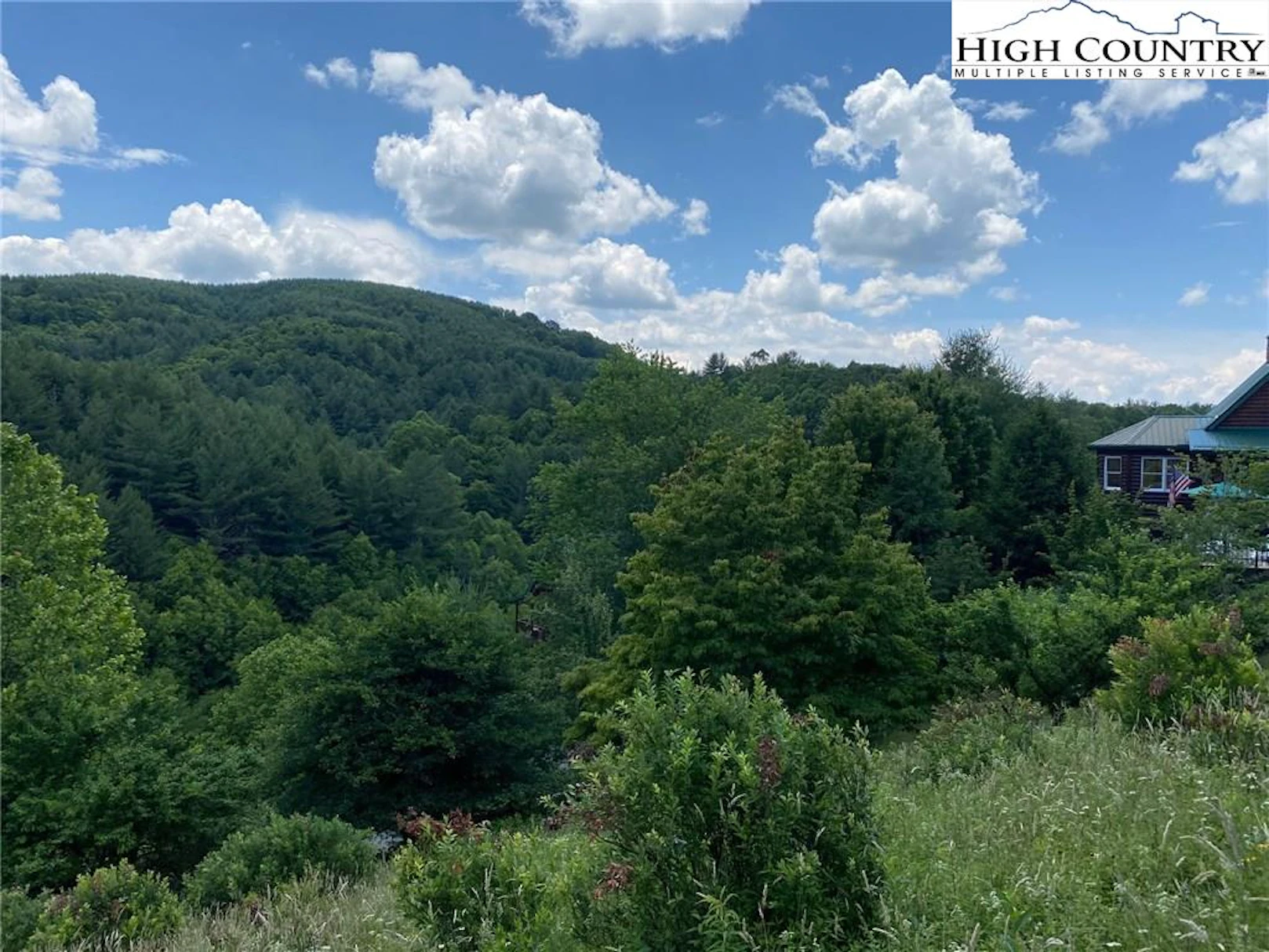 Image number 1 for the current listing