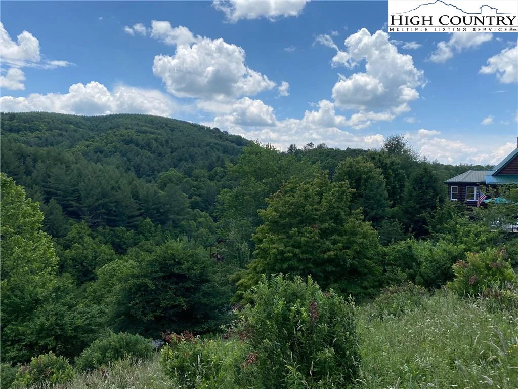 Image number 1 for the current listing