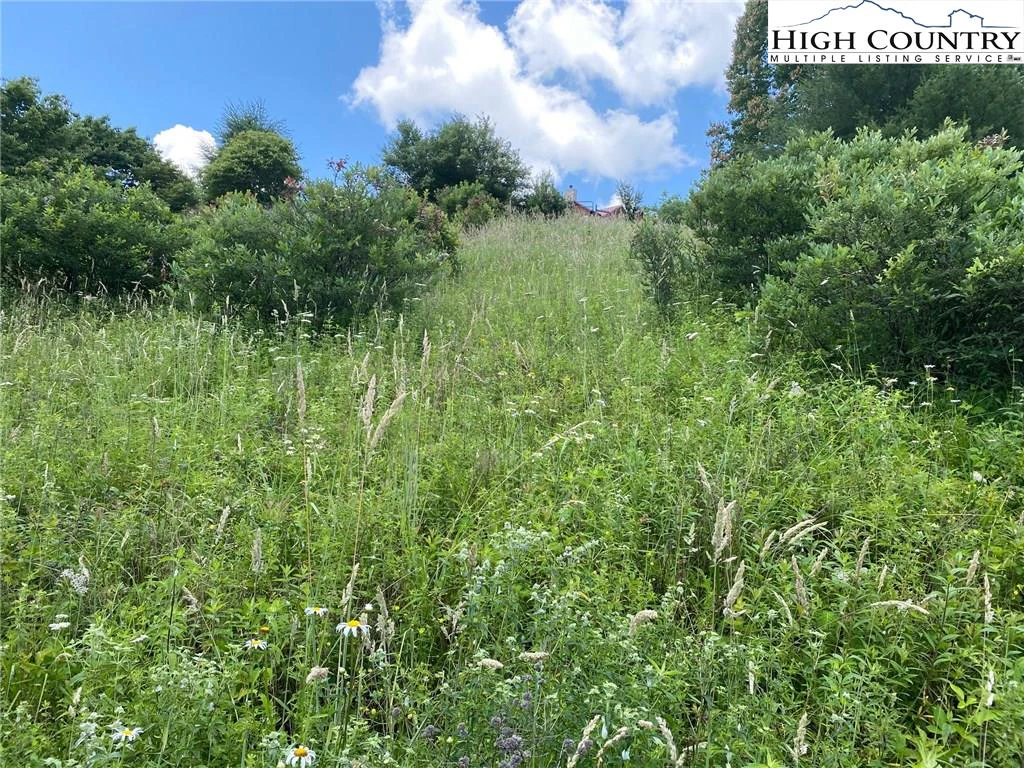 Image number 4 for the current listing