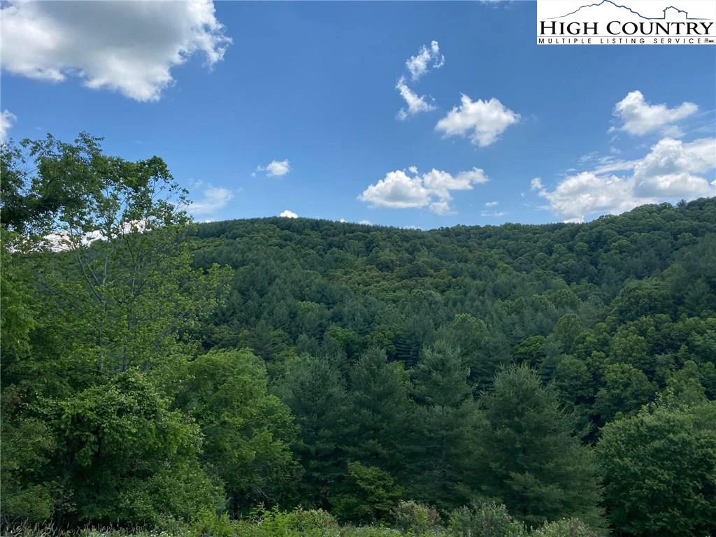 Image number 6 for the current listing