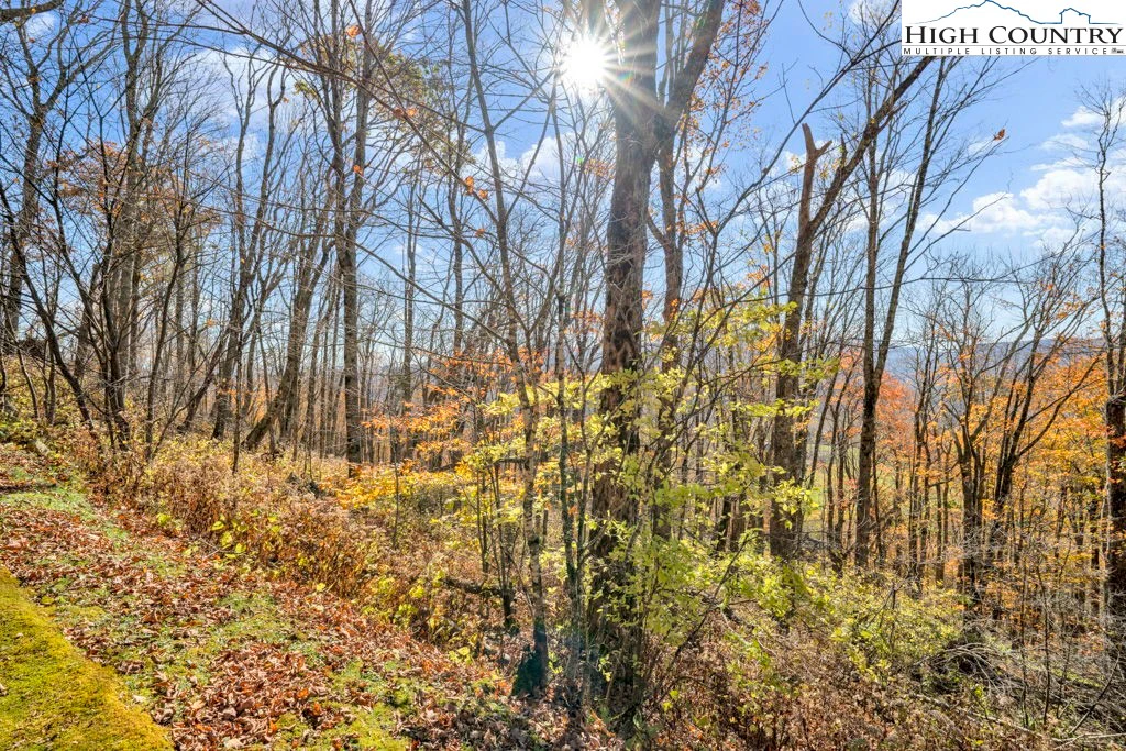 Image number 1 for the current listing