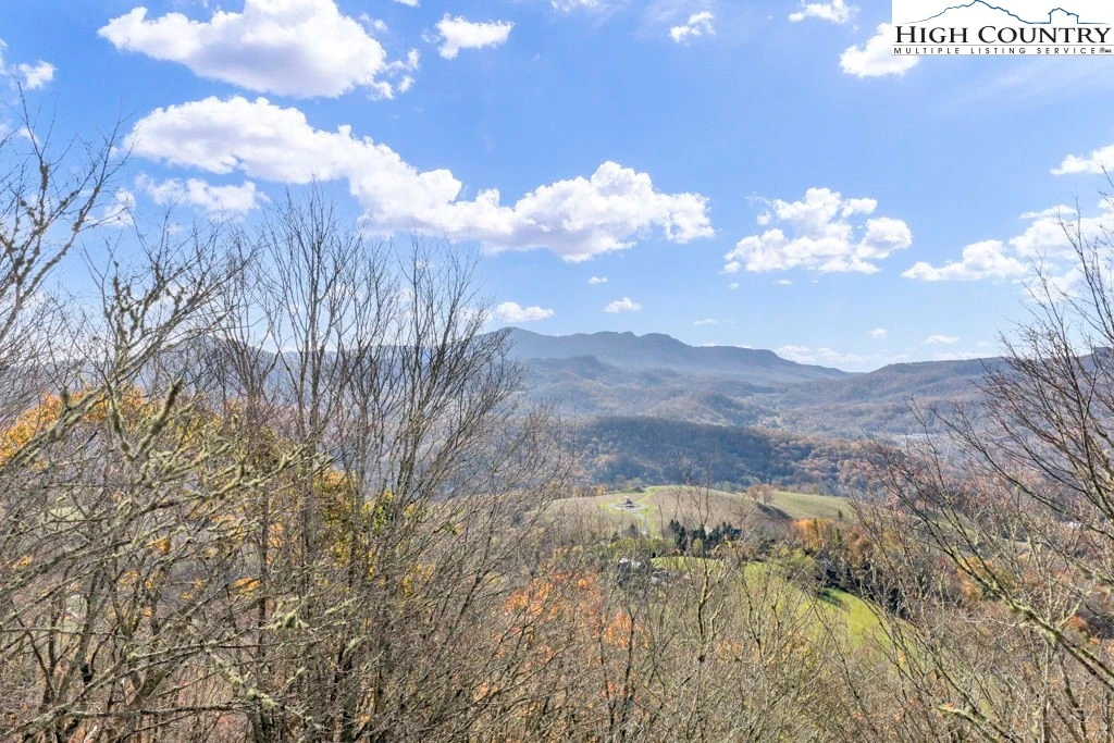 Image number 4 for the current listing