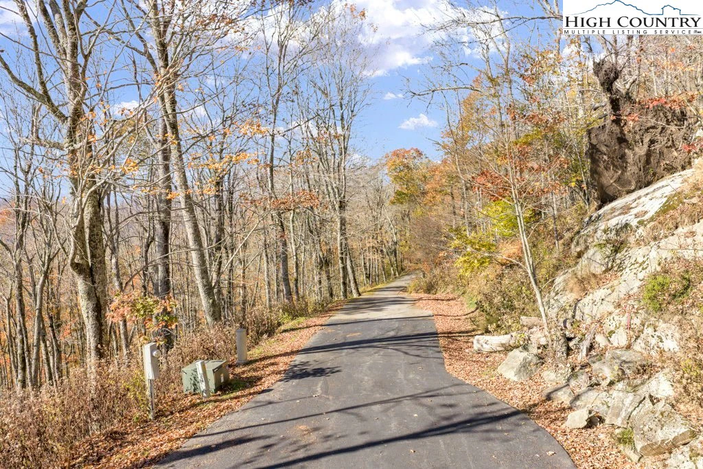 Image number 6 for the current listing