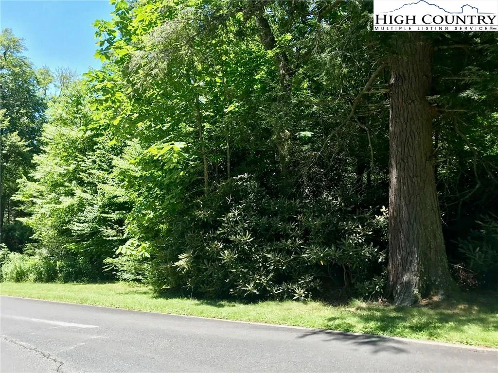Image number 1 for the current listing